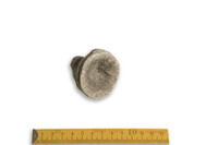 F 00048
<br/>
<br/>
<em></em>